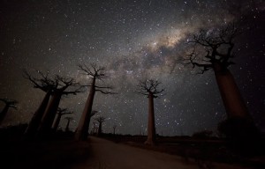 Madagascar cielo stellato