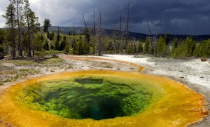 03yellowstone