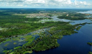 Amazon - Brazil, 2011.Â©Neil Palmer/CIAT