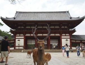 Nara