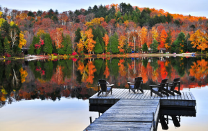 Canada Foliage