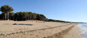 Spiaggia maremmana