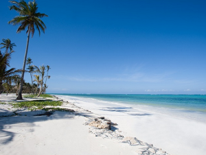 Spiagge Tanzania